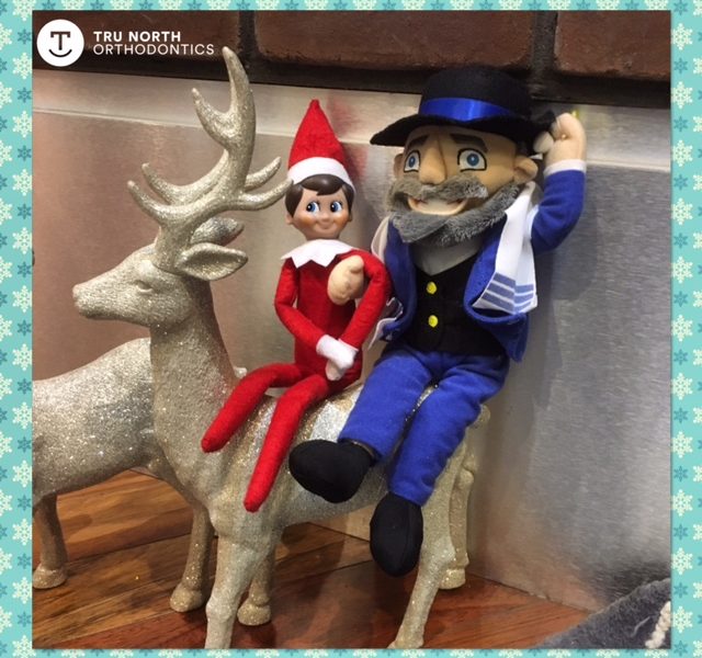 JANGLE AND MOSHIE ARE HERE!